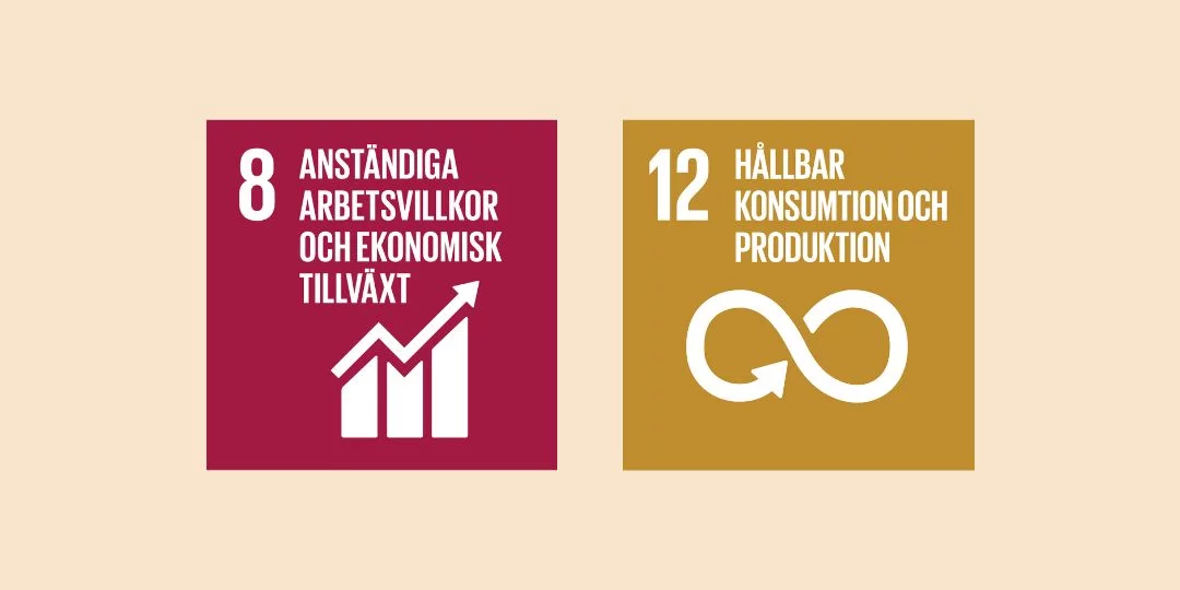 globala-malen_1080x540 FNs globala mål, Agenda 2030, mål 8