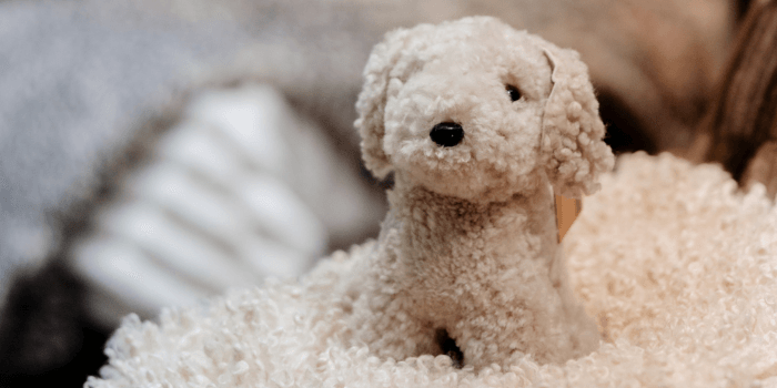 produktområden_700x350